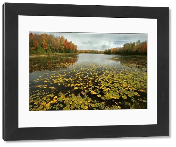 Lake and mixed woodland in autumn, Upper Peninsula, Michigan, USA