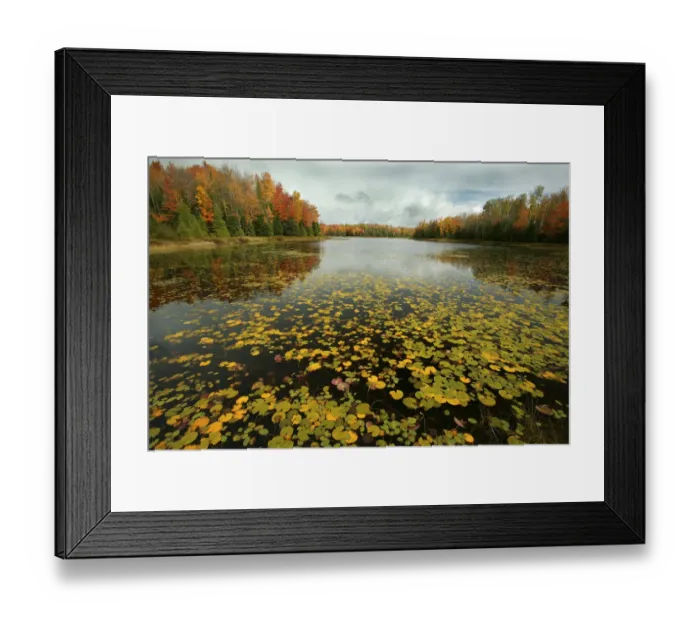 Framed Print : Lake and mixed woodland in autumn, Upper Peninsula, Michigan, USA Framed Print : Lake and mixed woodland in autumn, Upper Peninsula, Michigan, USA
