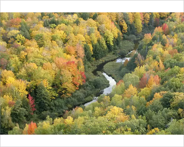 Aerial view of Little Carp River and early autumn woodland, Porcupine Mountains State Park