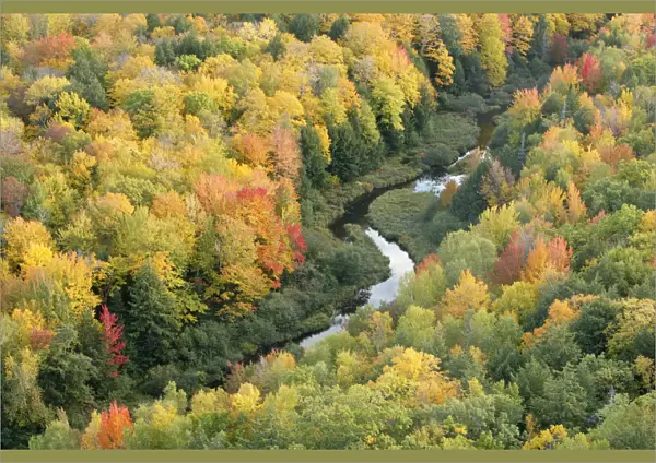 Aerial view of Little Carp River and early autumn woodland, Porcupine Mountains State Park