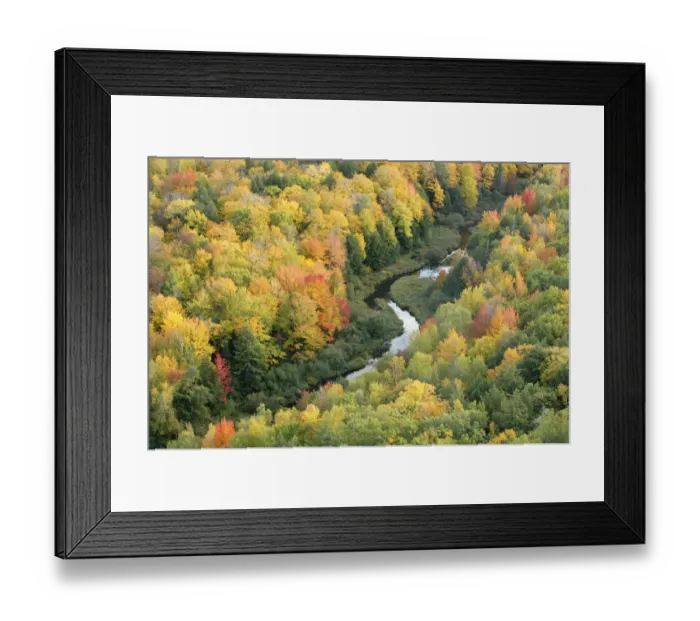 Framed Print : Aerial view of Little Carp River and early autumn woodland, Porcupine Mountains State Park