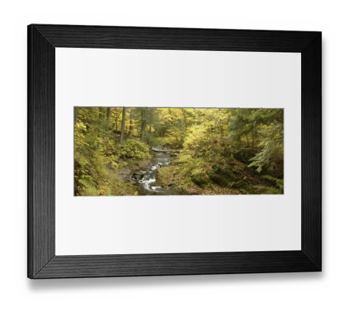 Framed Print : Little Carp River and autumn woodland, Porcupine Mountains State Park, Upper Peninsula Framed Print : Little Carp River and autumn woodland, Porcupine Mountains State Park, Upper Peninsula