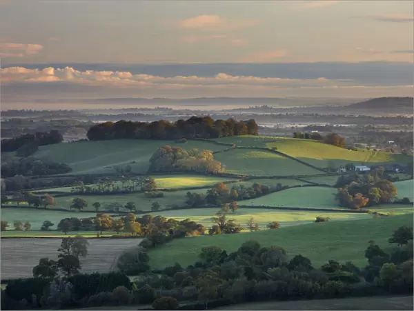 Dawn in the Blackmore Vale, Dorset, England, UK, in autumn, October 2008