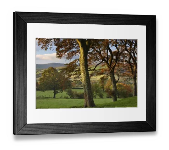 Framed Print : Autumn colours near Capel Garmon, Snowdonia National Park, Gwynedd, North Wales, UK Framed Print : Autumn colours near Capel Garmon, Snowdonia National Park, Gwynedd, North Wales, UK