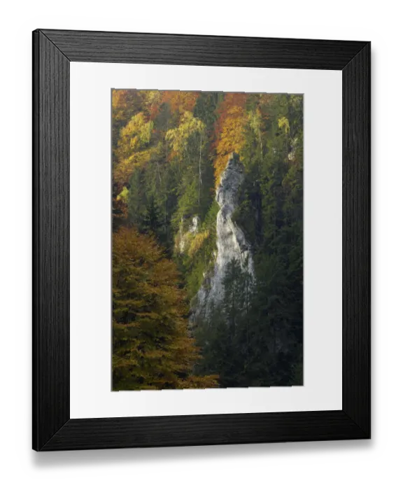 Framed Print : Woodland landscape in the Dambovita Valley, Piatra Craiului, Transylvania, Southern Framed Print : Woodland landscape in the Dambovita Valley, Piatra Craiului, Transylvania, Southern