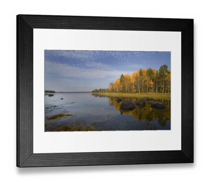 Framed Print : Shores of an inlet of the White Sea, Karelia, N Russia, September 2007 Framed Print : Shores of an inlet of the White Sea, Karelia, N Russia, September 2007