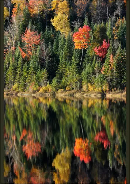 Autumn reflections on Modene Lake and forest. La Mauricie National Park, Quebec, Canada