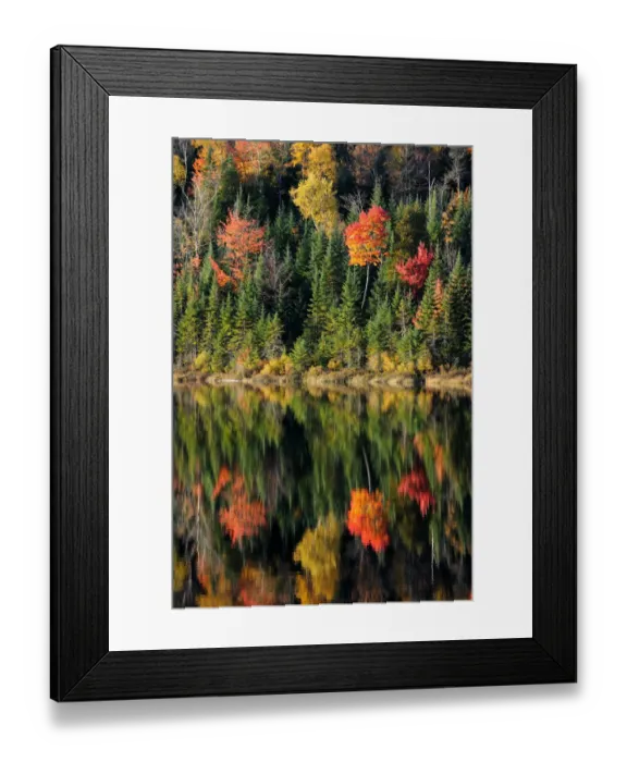 Framed Print : Autumn reflections on Modene Lake and forest. La Mauricie National Park, Quebec, Canada Framed Print : Autumn reflections on Modene Lake and forest. La Mauricie National Park, Quebec, Canada