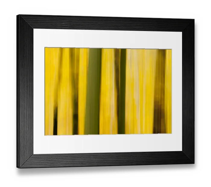Framed Print : Abstract details of autumnal colour and trees Framed Print : Abstract details of autumnal colour and trees