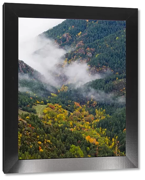 A high view of mist shrouding an autumnal valley. Cadi Natural Park, Catalonia, Barcelona province