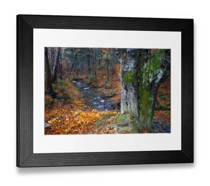 Framed Print : Carpathian forest stream in autumn colors. Bieszczady National Park, the Carpathians Framed Print : Carpathian forest stream in autumn colors. Bieszczady National Park, the Carpathians