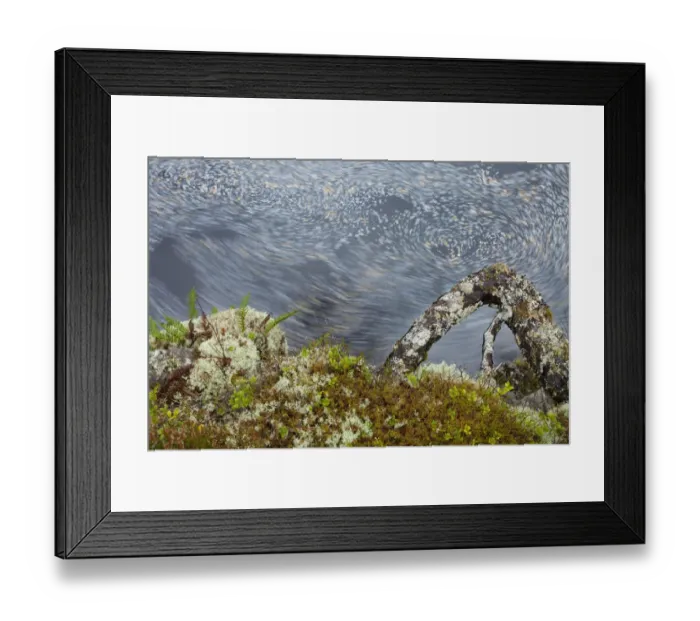 Framed Print : Forest floor and leaves in river, Glen Affric, Highland, Scotland, UK, October Framed Print : Forest floor and leaves in river, Glen Affric, Highland, Scotland, UK, October