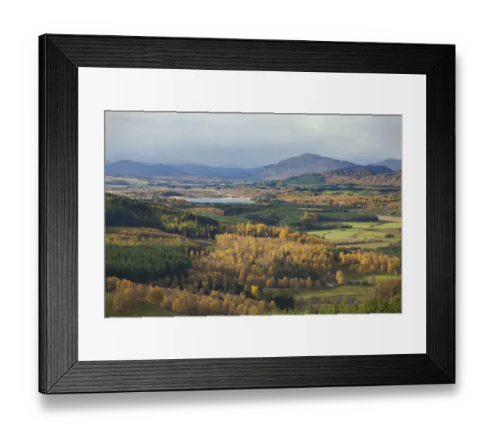 Framed Print : Autumn landscape with birch and pine woodland, Strathspey, Cairngorms National Park Framed Print : Autumn landscape with birch and pine woodland, Strathspey, Cairngorms National Park