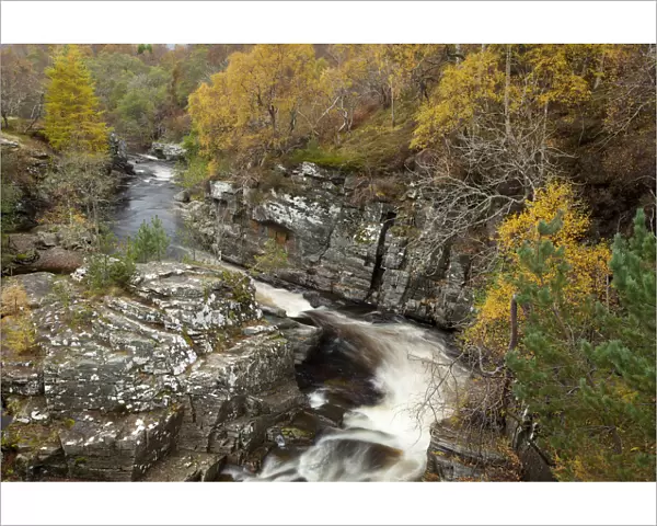 River Tromie running through autumnal woodland, Glenfeshie, Cairngorms NP, Scotland