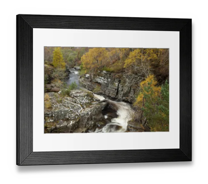 Framed Print : River Tromie running through autumnal woodland, Glenfeshie, Cairngorms NP, Scotland Framed Print : River Tromie running through autumnal woodland, Glenfeshie, Cairngorms NP, Scotland