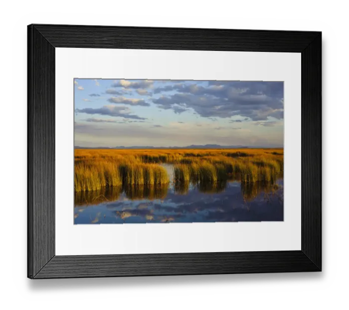 Framed Print : Wetland in central Oregons Malheur National Wildlife Refuge, Malheur County, Oregon Framed Print : Wetland in central Oregons Malheur National Wildlife Refuge, Malheur County, Oregon