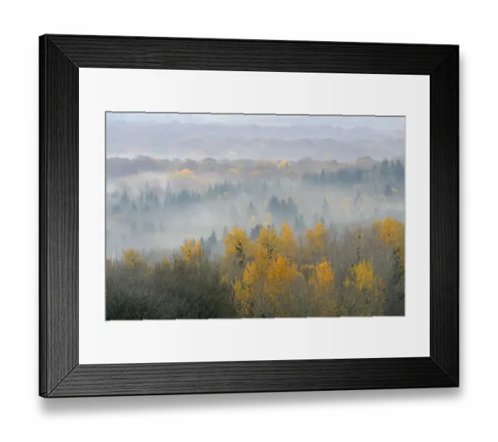 Framed Print : Landscape view of Vosges Forest at dawn, France, November 2011 Framed Print : Landscape view of Vosges Forest at dawn, France, November 2011