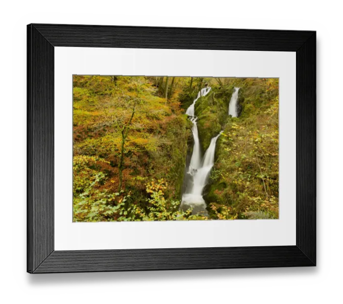 Framed Print : Stock Ghyll waterfall in autumn, Lake District NP, Cumbria, England, UK, November Framed Print : Stock Ghyll waterfall in autumn, Lake District NP, Cumbria, England, UK, November