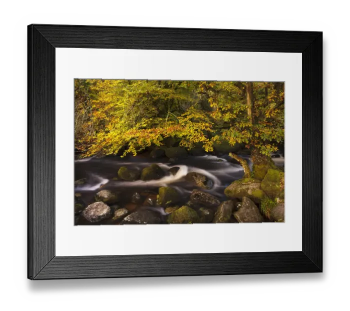Framed Print : Autumn colours along the East Dart River, Dartmoor National Park, Devon, UK. October 2011 Framed Print : Autumn colours along the East Dart River, Dartmoor National Park, Devon, UK. October 2011