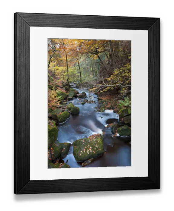 Framed Print : Beech woodland surrounding Burbage Brook. Padley Gorge, Peak District National Park, UK Framed Print : Beech woodland surrounding Burbage Brook. Padley Gorge, Peak District National Park, UK
