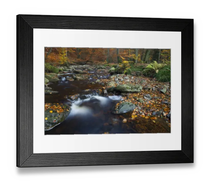 Framed Print : The Hoegne river in autumn. The Ardennes, Belgium November 2011 Framed Print : The Hoegne river in autumn. The Ardennes, Belgium November 2011