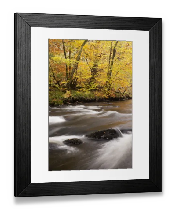 Framed Print : River Dart, near Newbridge, Dartmoor National Park, Devon, England, UK, November 2011 Framed Print : River Dart, near Newbridge, Dartmoor National Park, Devon, England, UK, November 2011