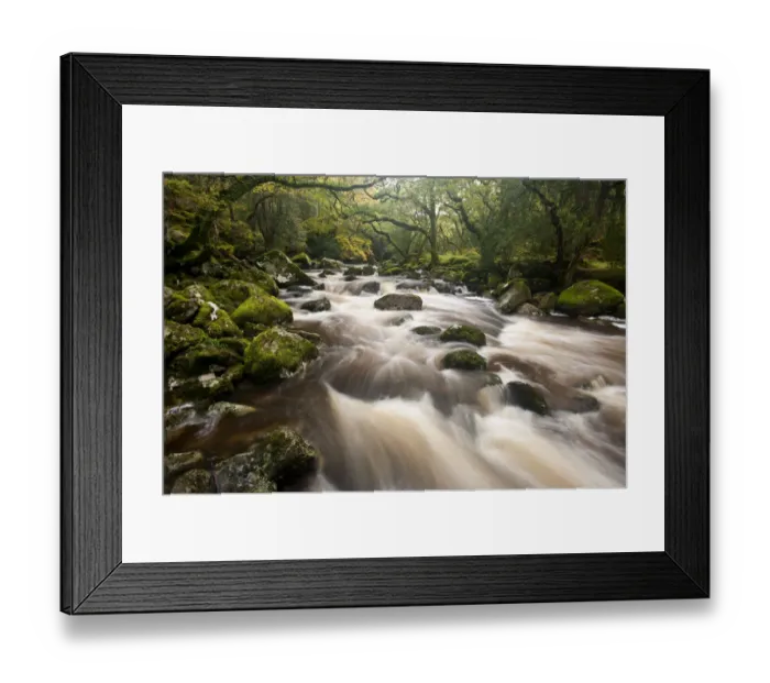 Framed Print : River Plym flowing fast through Dewerstone Wood, Shaugh Prior, Dartmoor National Park Framed Print : River Plym flowing fast through Dewerstone Wood, Shaugh Prior, Dartmoor National Park
