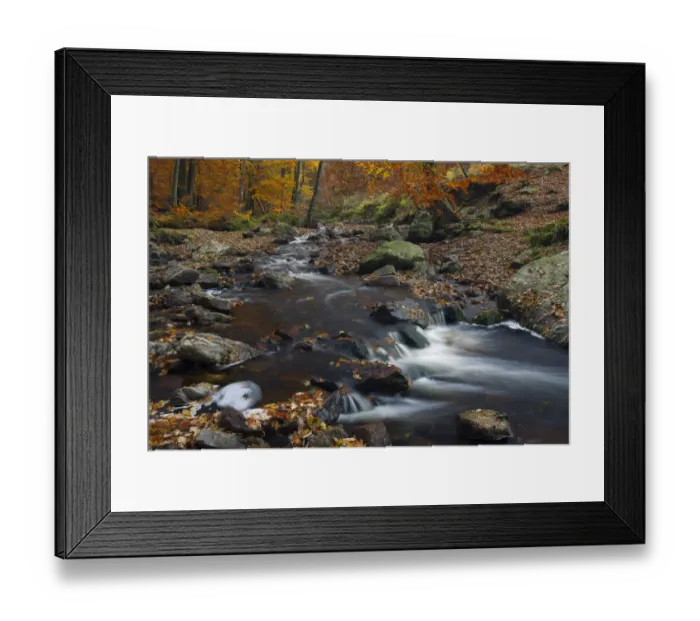 Framed Print : Hoegne river at the edge of the Hoge Venen nature reserve, in Autumn colours