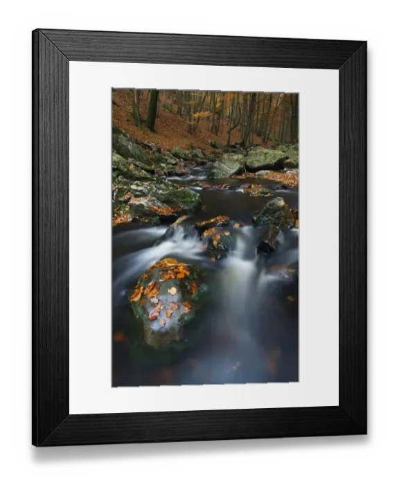 Framed Print : Hoegne river at the edge of the Hoge Venen nature reserve, in Autumn colours Framed Print : Hoegne river at the edge of the Hoge Venen nature reserve, in Autumn colours