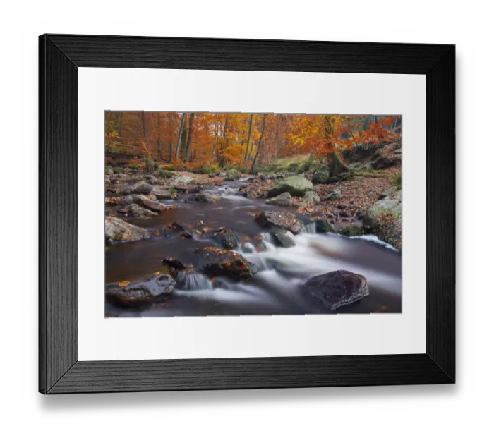 Framed Print : Hoegne river at the edge of the Hoge Venen nature reserve, in Autumn colours Framed Print : Hoegne river at the edge of the Hoge Venen nature reserve, in Autumn colours
