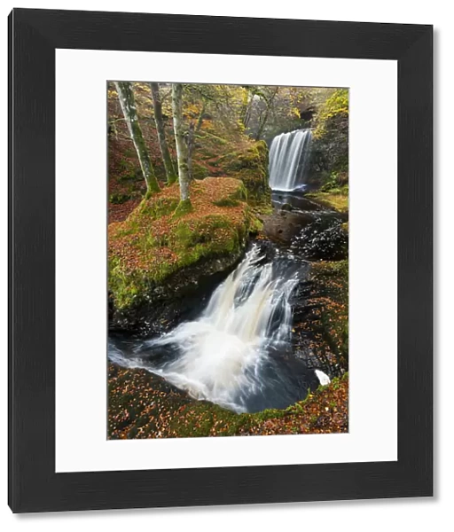Waterfalls in woodland. Craigengillan Estate, Dalmellington, Ayrshire, October