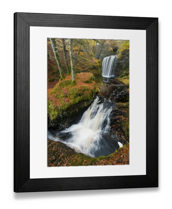 Framed Print : Waterfalls in woodland. Craigengillan Estate, Dalmellington, Ayrshire, October Framed Print : Waterfalls in woodland. Craigengillan Estate, Dalmellington, Ayrshire, October