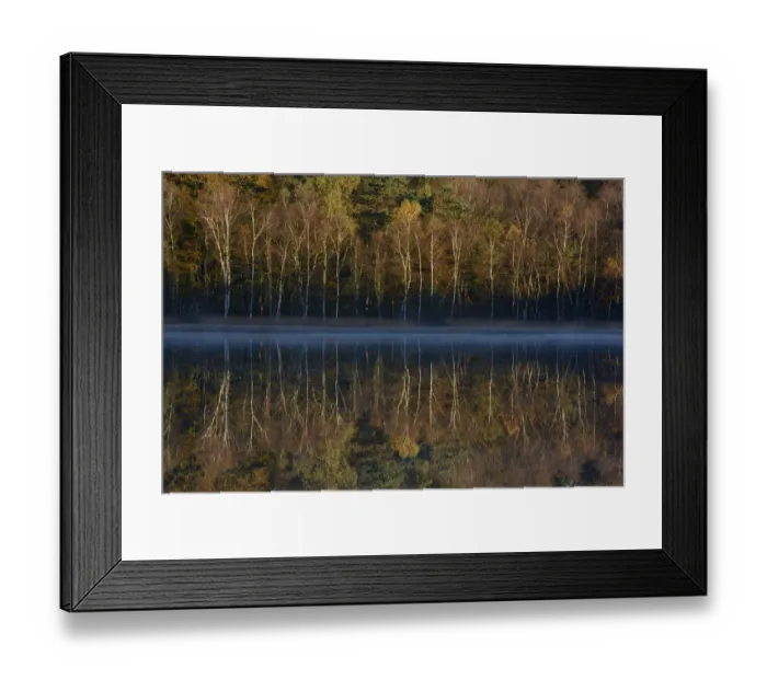 Framed Print : Lake reflecting autumn trees, Vosges, France, October 2013