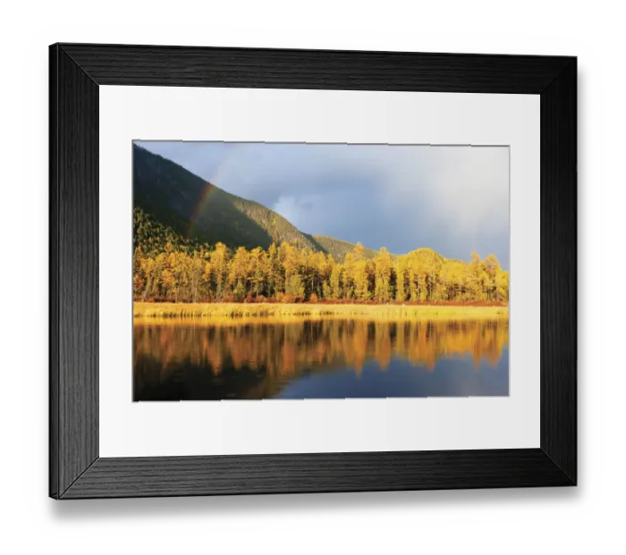 Framed Print : Lake Baikal landscape in autumn, trees reflected in water. Zabaikalsky National Park Framed Print : Lake Baikal landscape in autumn, trees reflected in water. Zabaikalsky National Park
