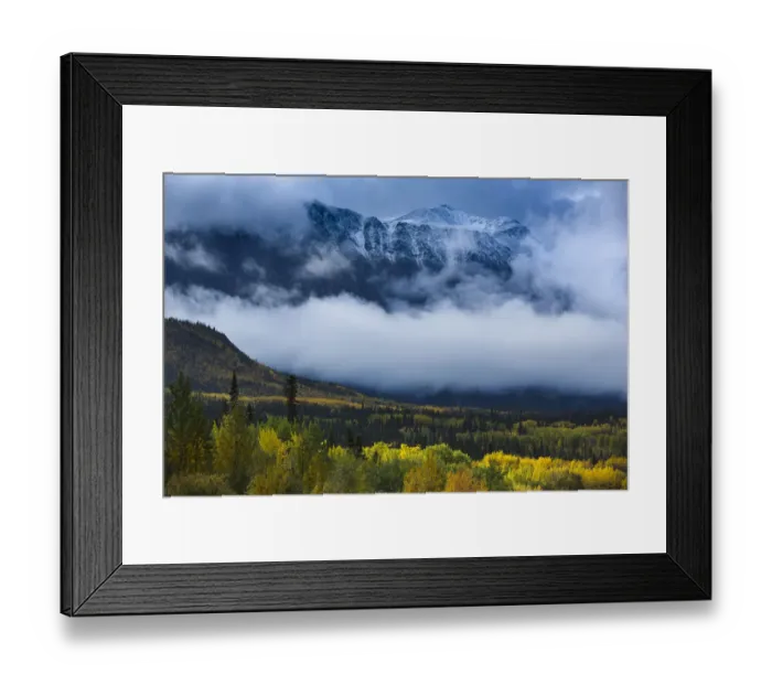 Framed Print : Autumnal woodland and Young Peak surrounded by clouds, British Columbia, Canada, September 2013 Framed Print : Autumnal woodland and Young Peak surrounded by clouds, British Columbia, Canada, September 2013