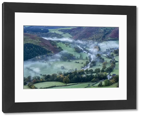 Autumn mist in Dee Valley (Dyffryn Dyfrdwy) near Llangollen, Denbighshire, Wales, UK