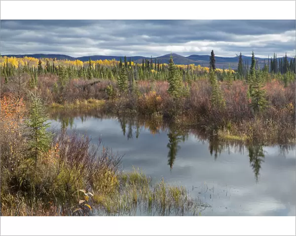 Autumnal boreal forest with lake, Silver Trail, near Mayo, Yukon Territories, Canada