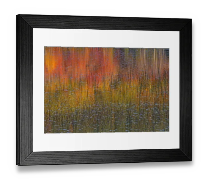 Framed Print : Reflections in autumn leaves in lake, Acadia National Park, Maine, USA, October Framed Print : Reflections in autumn leaves in lake, Acadia National Park, Maine, USA, October