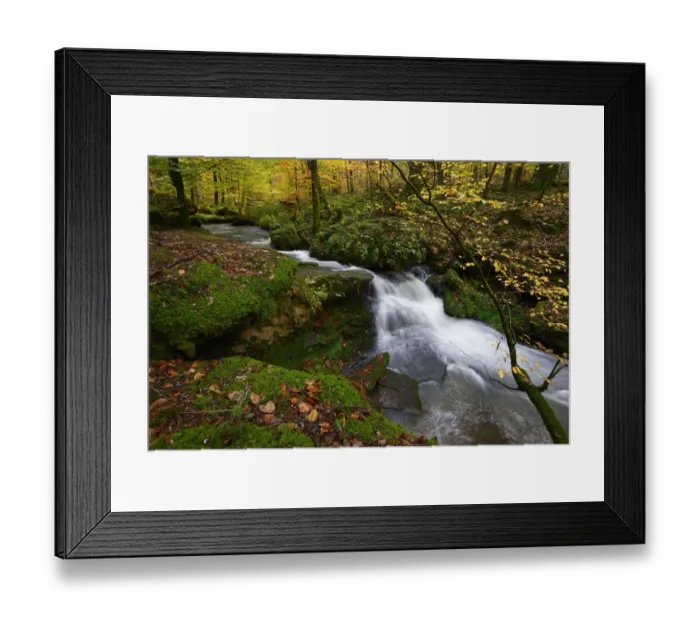 Framed Print : Small stream in forest, Vosges mountains, France, November 2014 Framed Print : Small stream in forest, Vosges mountains, France, November 2014