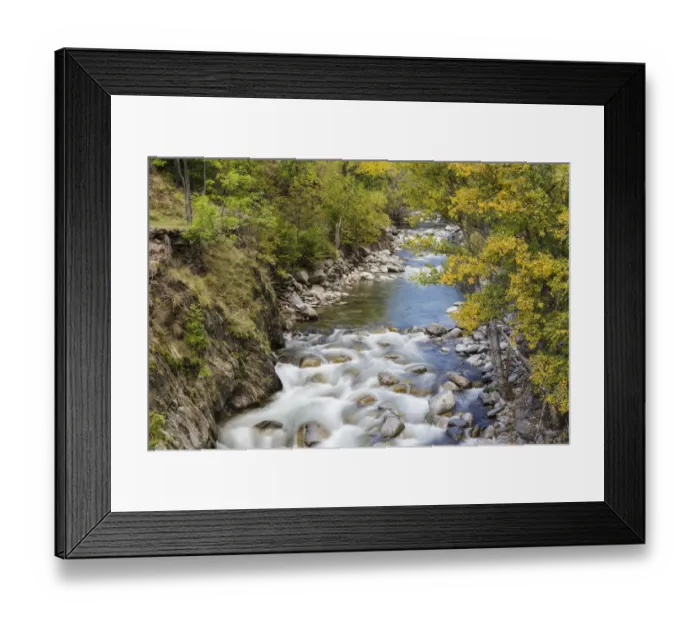 Framed Print : Autumnal trees on the shore of Noguera Pallaresa River in Alt Aneu Natural Park. Aneu Valley Framed Print : Autumnal trees on the shore of Noguera Pallaresa River in Alt Aneu Natural Park. Aneu Valley