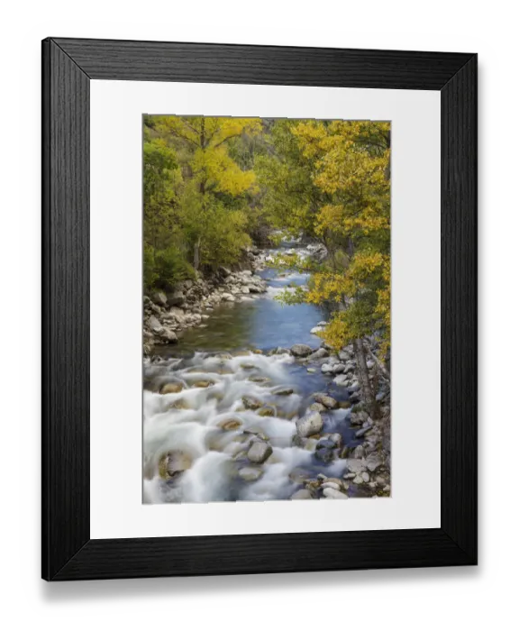 Framed Print : Noguera Pallaresa River in autumn, Alt Aneu Natural Park. Aneu Valley, Pyrenees Mountain Framed Print : Noguera Pallaresa River in autumn, Alt Aneu Natural Park. Aneu Valley, Pyrenees Mountain