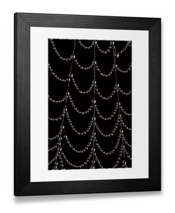Framed Print : Dew-covered cobweb. Thursley Common, Surrey, UK. October Framed Print : Dew-covered cobweb. Thursley Common, Surrey, UK. October