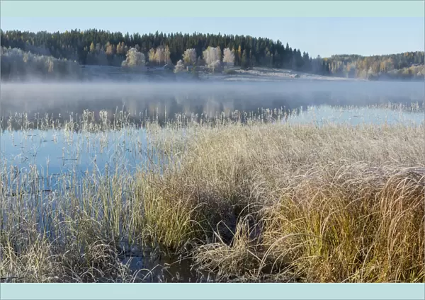 Misty lake on a cold autumn morning, Jyvaskyla, Central Finland, October 2015