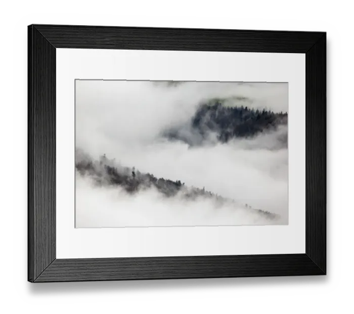 Framed Print : Pine trees in mist, Ballons des Vosges Regional Natural Park, Vosges Mountains, France Framed Print : Pine trees in mist, Ballons des Vosges Regional Natural Park, Vosges Mountains, France