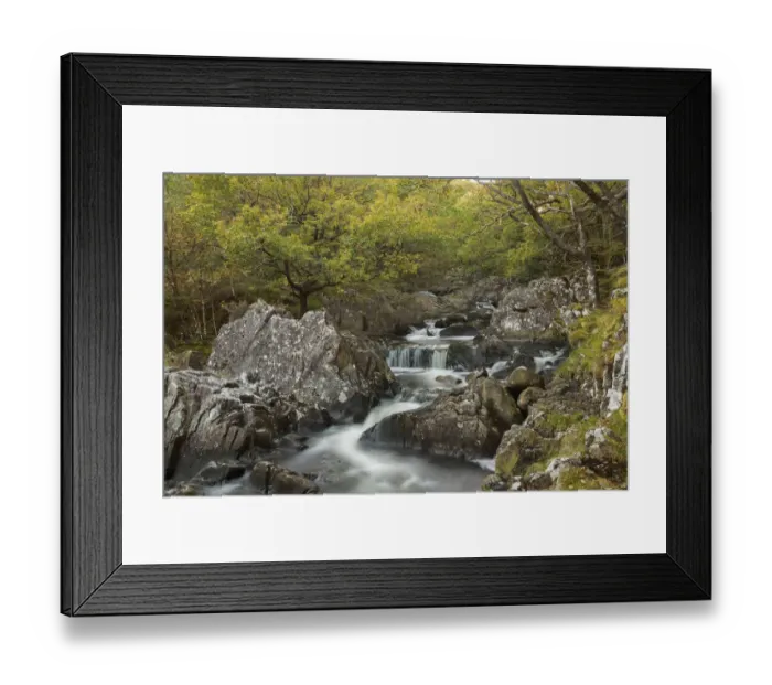 Framed Print : Oak woodland with mosses and running water, near Dolgellau, Snowdonia, North Wales Framed Print : Oak woodland with mosses and running water, near Dolgellau, Snowdonia, North Wales