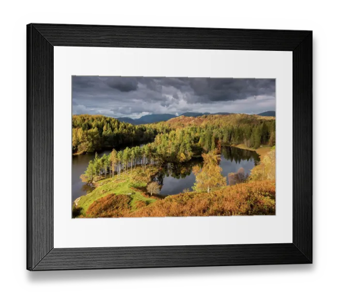 Framed Print : Tarn Hows, late evening light in autumn, near Coniston, The Lake District, Cumbria, UK. October 2016 Framed Print : Tarn Hows, late evening light in autumn, near Coniston, The Lake District, Cumbria, UK. October 2016