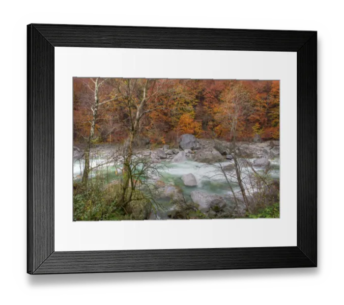 Framed Print : Verzasca River and autumn trees, Canton Tessin, Switzerland Framed Print : Verzasca River and autumn trees, Canton Tessin, Switzerland