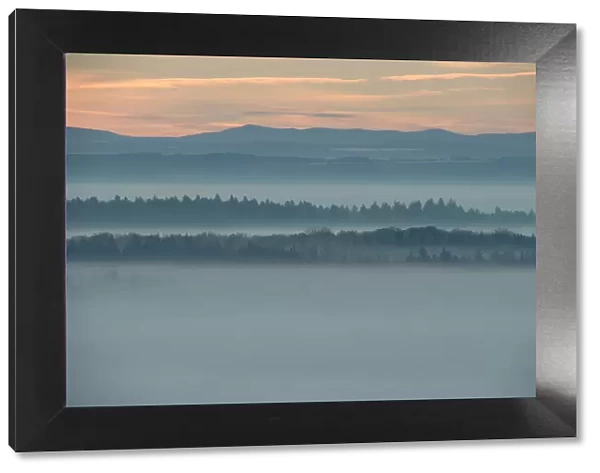 Morning mist over Vosges Mountain, France, October