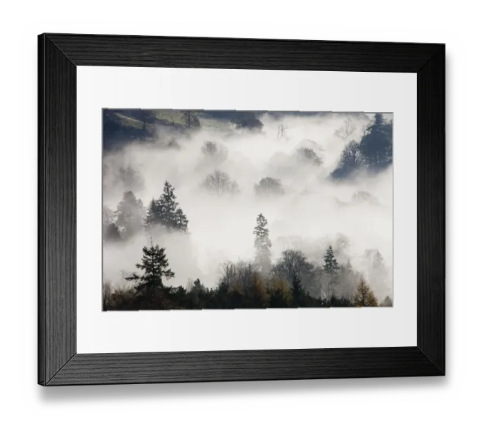 Framed Print : Mist caused by a temperature inversion over woodland near Ambleside, Lake District, England, UK Framed Print : Mist caused by a temperature inversion over woodland near Ambleside, Lake District, England, UK