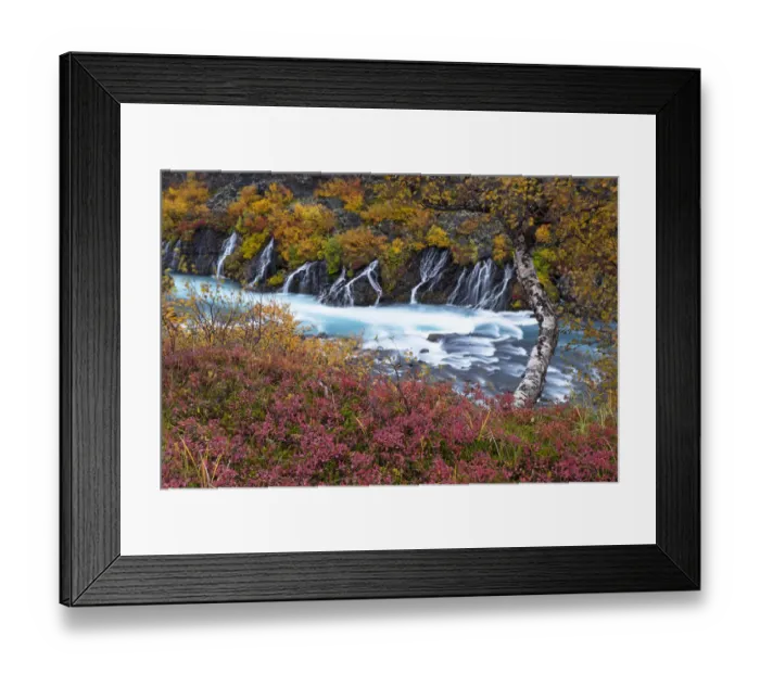 Framed Print : Hraunfossar waterfall, West of Iceland, September 2013 Framed Print : Hraunfossar waterfall, West of Iceland, September 2013